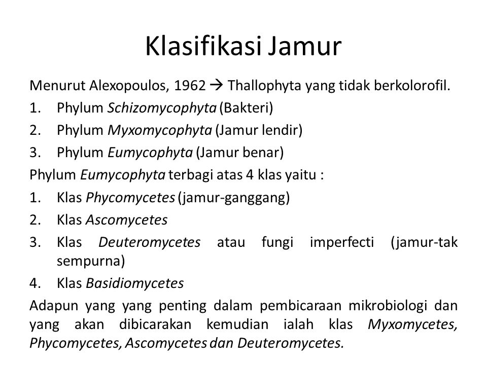 Klasifikasi Jamur Menurut Alexopoulos, 1962  Thallophyta yang tidak berkolorofil. Phylum Schizomycophyta (Bakteri)