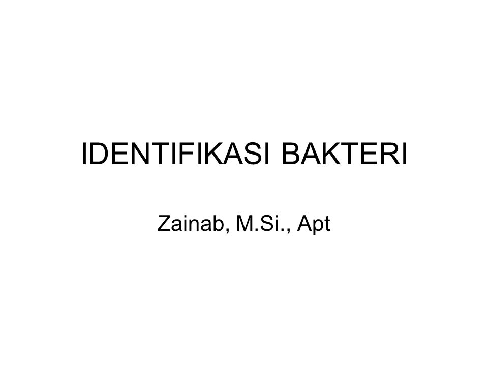 IDENTIFIKASI BAKTERI Zainab, M.Si., Apt