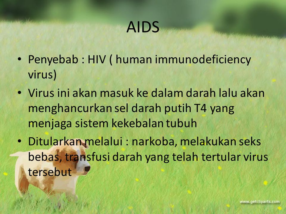 AIDS Penyebab : HIV ( human immunodeficiency virus)