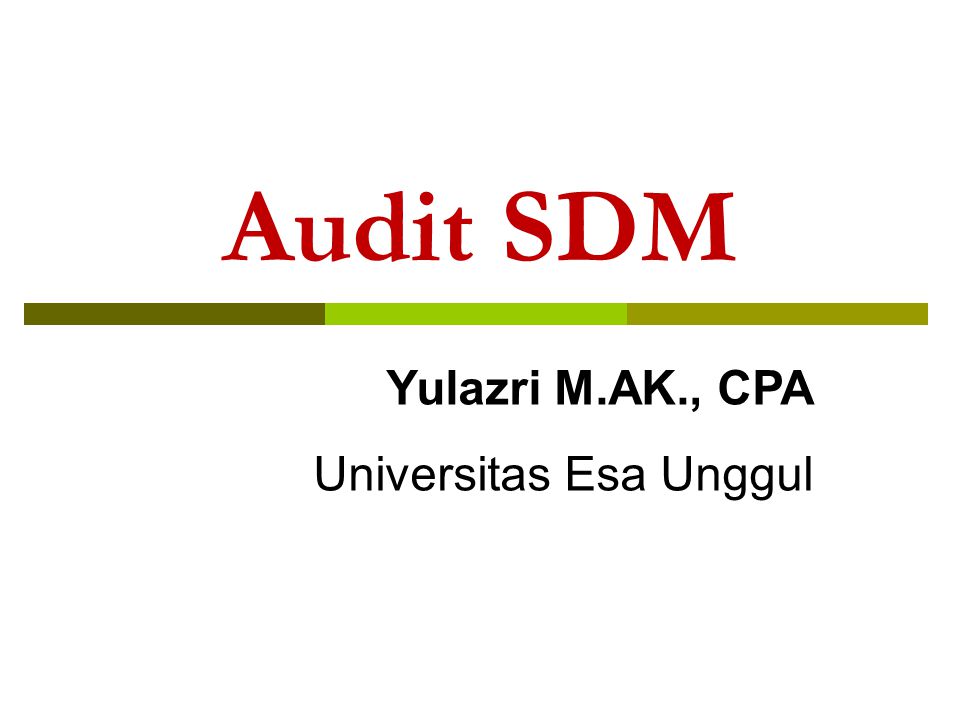 Audit SDM Yulazri M.AK., CPA Universitas Esa Unggul