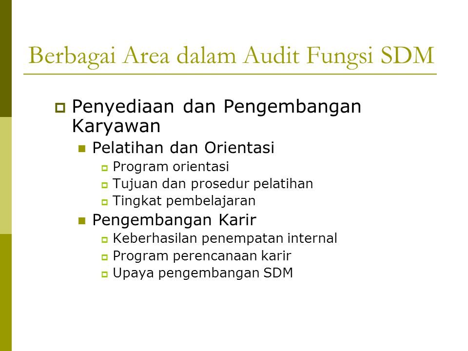 Berbagai Area dalam Audit Fungsi SDM