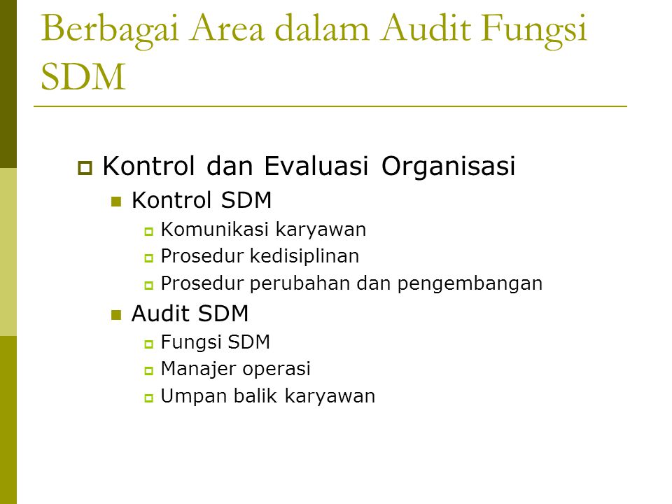 Berbagai Area dalam Audit Fungsi SDM