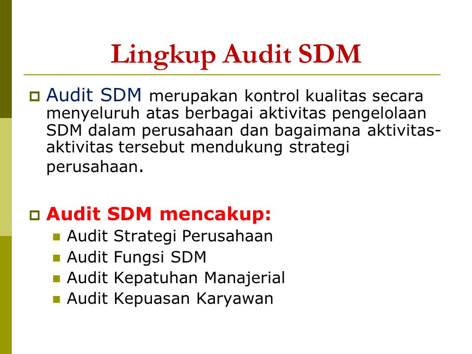 Lingkup Audit SDM