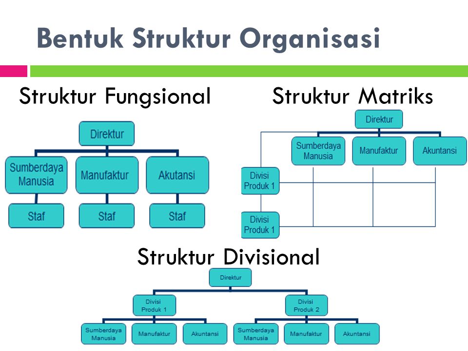 Bentuk Struktur Organisasi