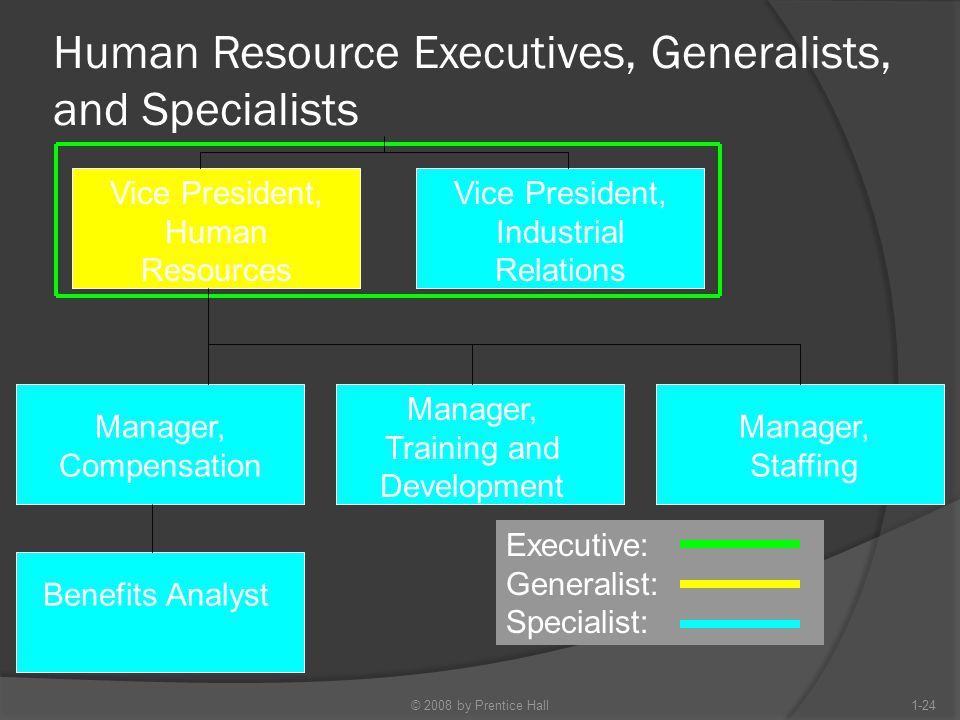 Human Resource Executives, Generalists, and Specialists