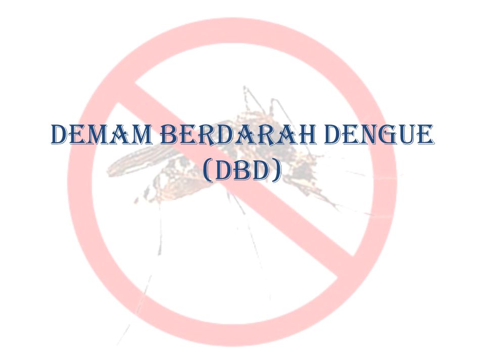 DEMAM BERDARAH DENGUE (DBD)