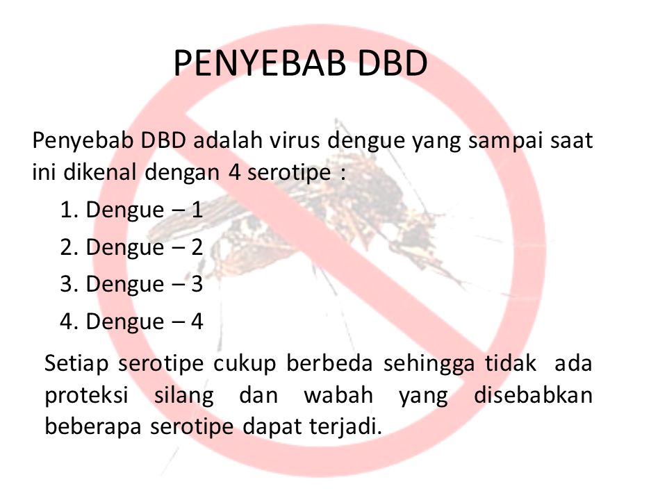 PENYEBAB DBD Penyebab DBD adalah virus dengue yang sampai saat ini dikenal dengan 4 serotipe : 1. Dengue – 1.