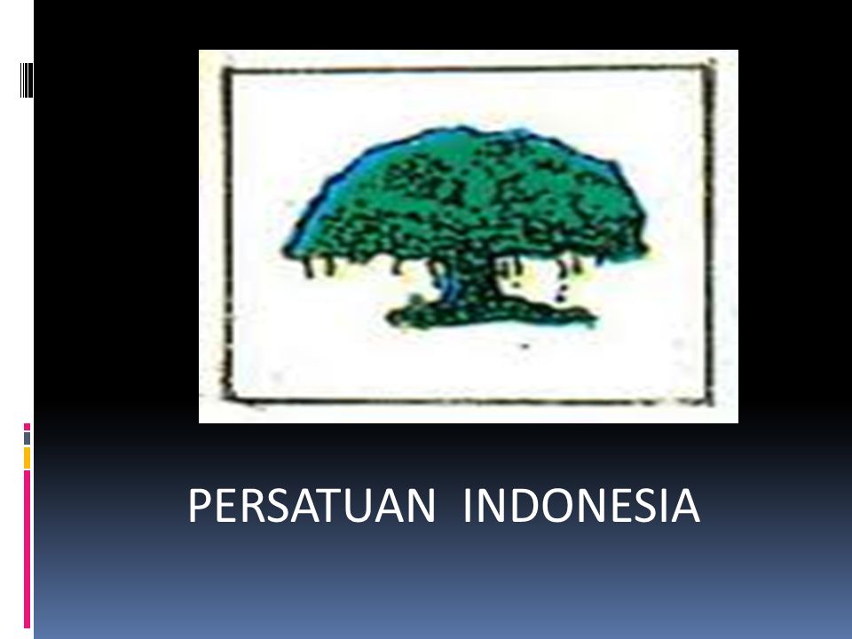 PERSATUAN INDONESIA