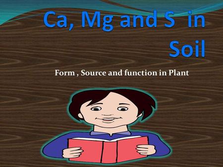 Form , Source and function in Plant