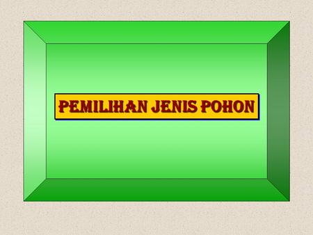 PEMILIHAN JENIS POHON.