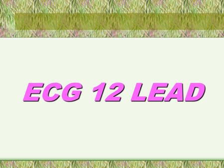 ECG 12 LEAD.
