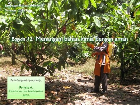 ©2009 Rainforest Alliance Bagian 12: Menangani bahan kimia dengan aman Language: Bahasa Indonesia Version: 2011 Berhubungan dengan prinsip: Prinsip 6.