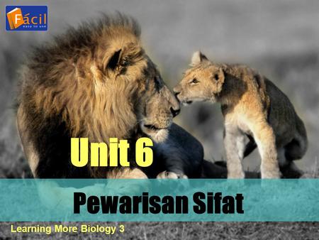 Unit 6 Pewarisan Sifat Learning More Biology 3.