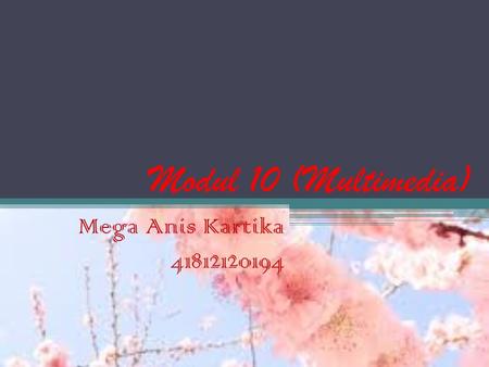 Modul 10 (Multimedia) Mega Anis Kartika 41812120194.