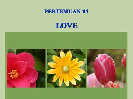 PERTEMUAN 11 LOVE. LOVE IS.............. Interpersonal attraction, secondary positive reinforces, complementary needs affection that one individual expresses.