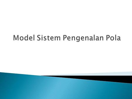 Model Sistem Pengenalan Pola