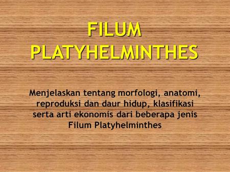 FILUM PLATYHELMINTHES