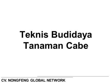 Teknis Budidaya Tanaman Cabe