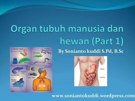 Organ tubuh manusia dan hewan (Part 1)