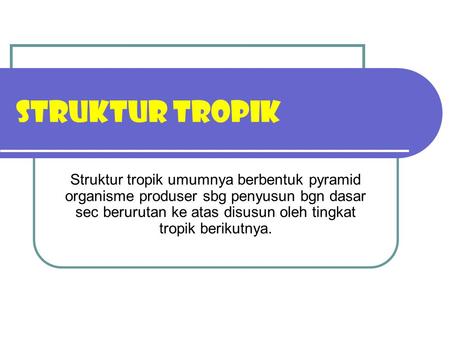 STRUKTUR TROPIK Struktur tropik umumnya berbentuk pyramid organisme produser sbg penyusun bgn dasar sec berurutan ke atas disusun oleh tingkat tropik berikutnya.