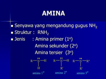 AMINA Senyawa yang mengandung gugus NH2 Struktur : RNH2