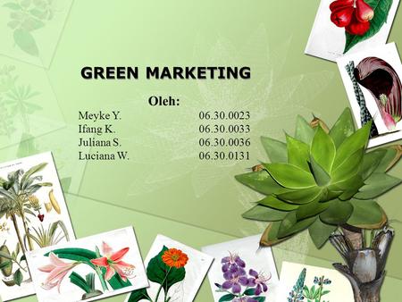 GREEN MARKETING Oleh: Meyke Y Ifang K
