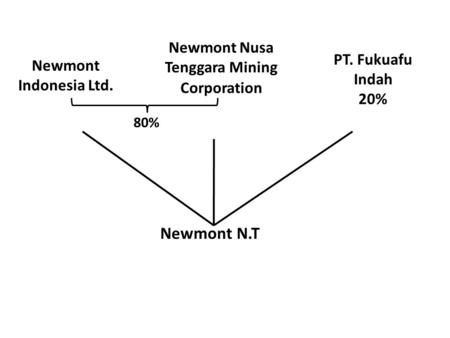 Newmont Indonesia Ltd. PT. Fukuafu Indah 20% Newmont N.T Newmont Nusa Tenggara Mining Corporation 80%