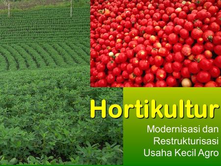Hortikultur Modernisasi dan Restrukturisasi Usaha Kecil Agro