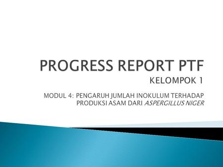 PROGRESS REPORT PTF KELOMPOK 1
