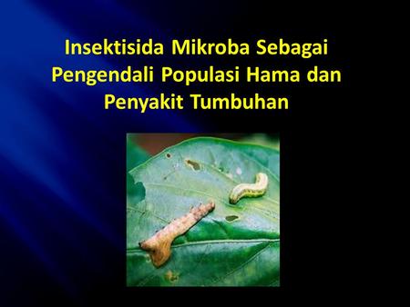 Insektisida Mikroba Menyebabkan kerusakan tanaman yang luas,
