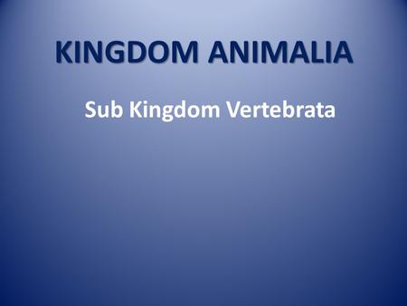 Sub Kingdom Vertebrata