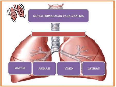 PENGERTIAN Sistem Pernafasan merupakan sistem yang mengatur pertukaran gas antara organisme dan lingkungannya.