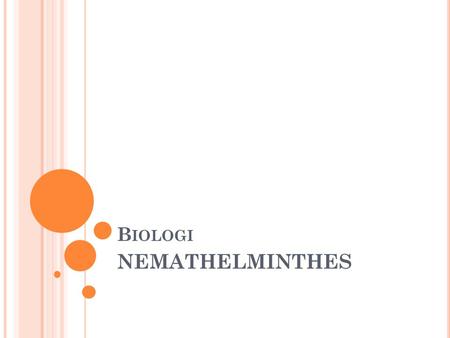 Biologi NEMATHELMINTHES.