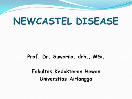 NEWCASTEL DISEASE Prof. Dr. Suwarno, drh., MSi. Fakultas Kedokteran Hewan Universitas Airlangga.