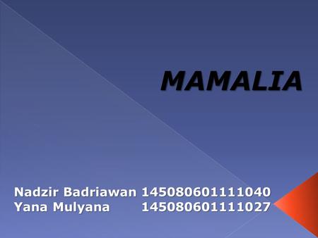MAMALIA Nadzir Badriawan	145080601111040 Yana Mulyana	145080601111027.