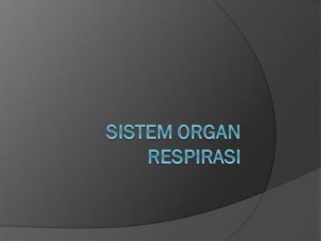 Sistem Organ Respirasi