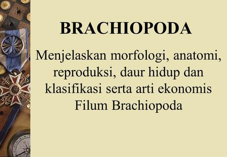 BRACHIOPODA Menjelaskan morfologi, anatomi, reproduksi, daur hidup dan klasifikasi serta arti ekonomis Filum Brachiopoda.