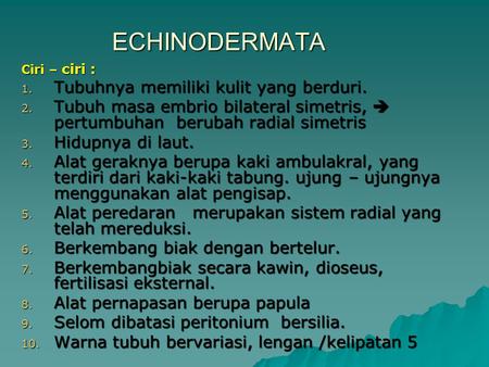 ECHINODERMATA Tubuhnya memiliki kulit yang berduri.