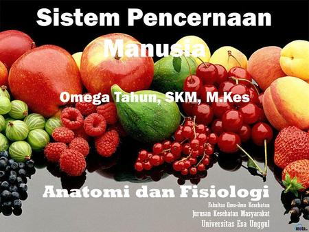 Sistem Pencernaan Manusia Omega Tahun, SKM, M.Kes