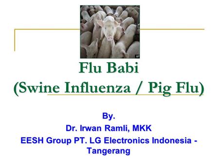 Flu Babi (Swine Influenza / Pig Flu)