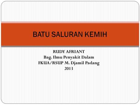 RUDY AFRIANT Bag. Ilmu Penyakit Dalam FKUA/RSUP M. Djamil Padang 2013