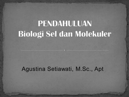 Agustina Setiawati, M.Sc., Apt SEBELUM MID (50%) Agustina Setiawati, M.Sc., Apt SETELAH MID (50%) Maria Dwi Budi Jumpowati, S.Si.