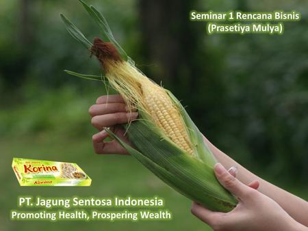 PT. Jagung Sentosa Indonesia