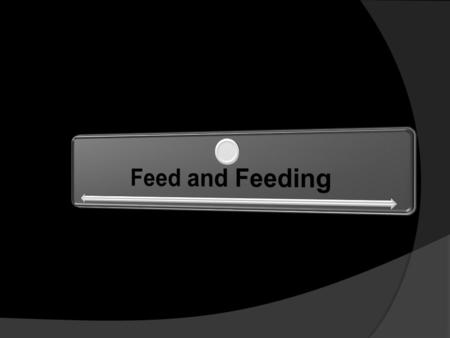 Feed and Feeding.