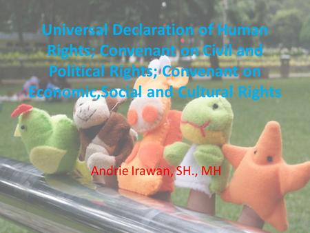 Universal Declaration of Human Rights; Convenant on Civil and Political Rights; Convenant on Economic,Social and Cultural Rights Andrie Irawan, SH., MH.