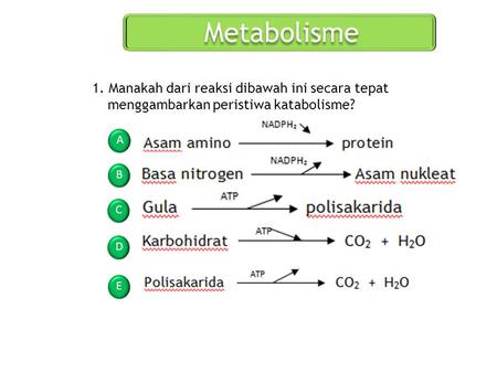 Metabolisme 1. Manakah dari reaksi dibawah ini secara tepat menggambarkan peristiwa katabolisme? A B C D E.