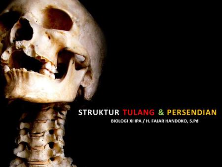 Struktur tulang & persendian