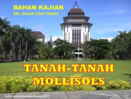 TANAH-TANAH MOLLISOLS