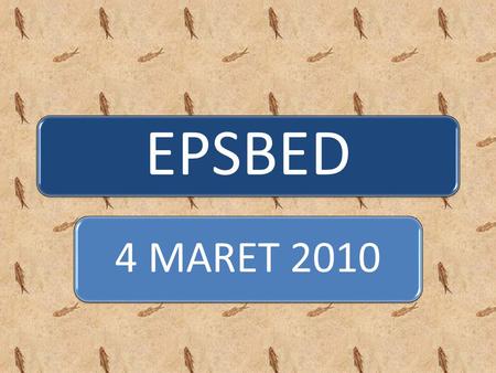 EPSBED 4 MARET 2010.