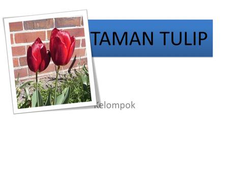 TAMAN TULIP Kelompok.